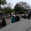 Foto Praça Frei Eduardo Dotti, Ipê Foto Praça Frei Eduardo Dotti, Ipê