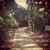 Foto Parque ambiental Rua da Bica, Cândido De Abreu Foto Parque ambiental Rua da Bica, Cândido De Abreu