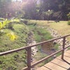 Foto Parque Aggeo Pio Sobrinho, Belo Horizonte Foto Parque Aggeo Pio Sobrinho, Belo Horizonte