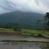 Foto cikoromoy, Pandeglang Foto cikoromoy, Pandeglang