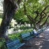 Foto Praça dos Mártires Passeio Público , Fortaleza Foto Praça dos Mártires Passeio Público , Fortaleza