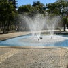 Foto Praça Pádua Sales, Amparo Foto Praça Pádua Sales, Amparo