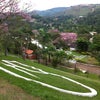 Foto Gaivota, Pirapora do Bom Jesus Foto Gaivota, Pirapora do Bom Jesus