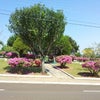 Foto Praça Municipal Batista Poyer, Jaborá Foto Praça Municipal Batista Poyer, Jaborá