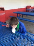 Dairy Queen Dairy Queen