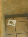 Subway Subway
