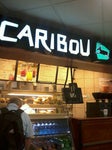 Caribou Coffee Caribou Coffee