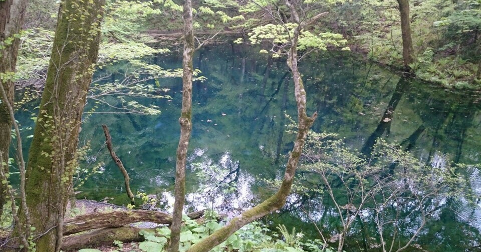 沸壺の池 青森県 こころから 沸壺の池 青森県 こころから
