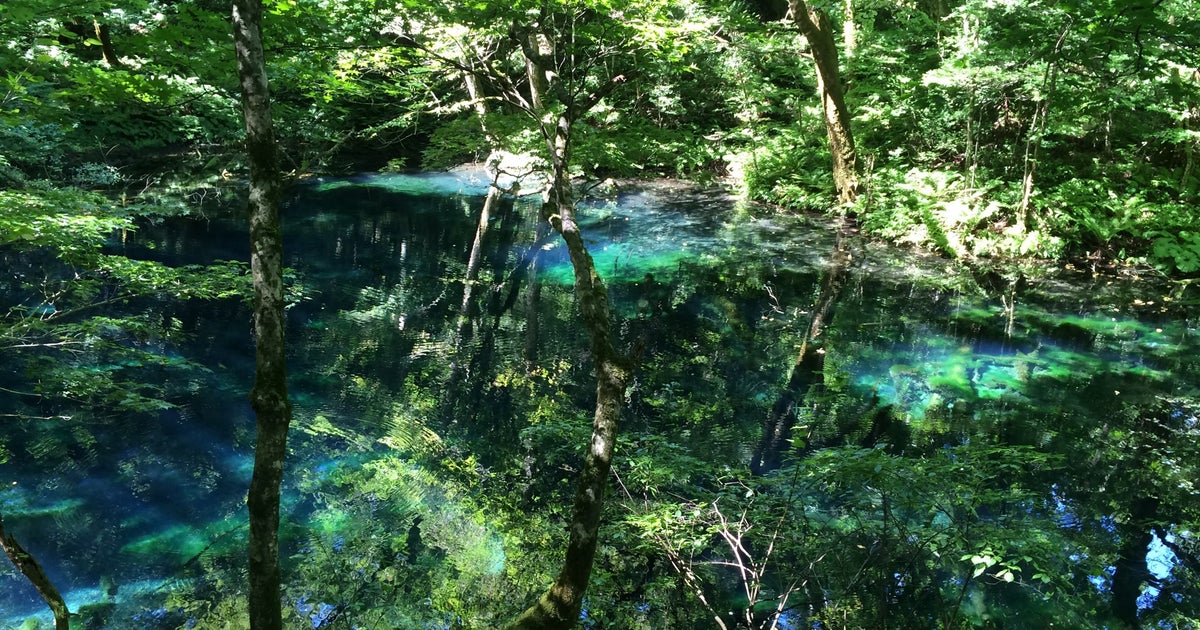 沸壺の池 青森県 こころから 沸壺の池 青森県 こころから