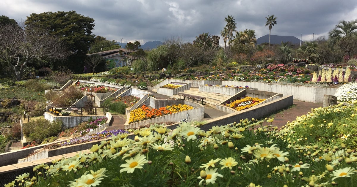 伊豆四季の花公園 静岡県 こころから