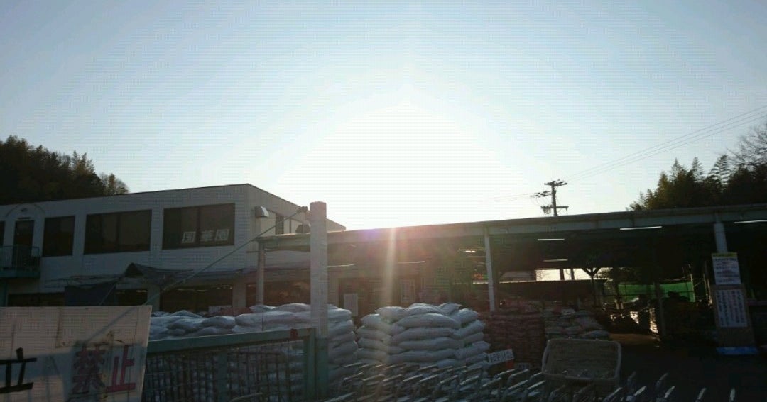 国華園 和泉本店 大阪府 こころから