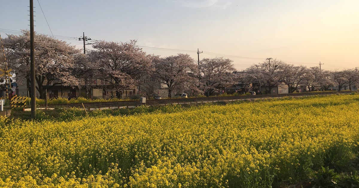 真岡観光リス村 栃木県 こころから