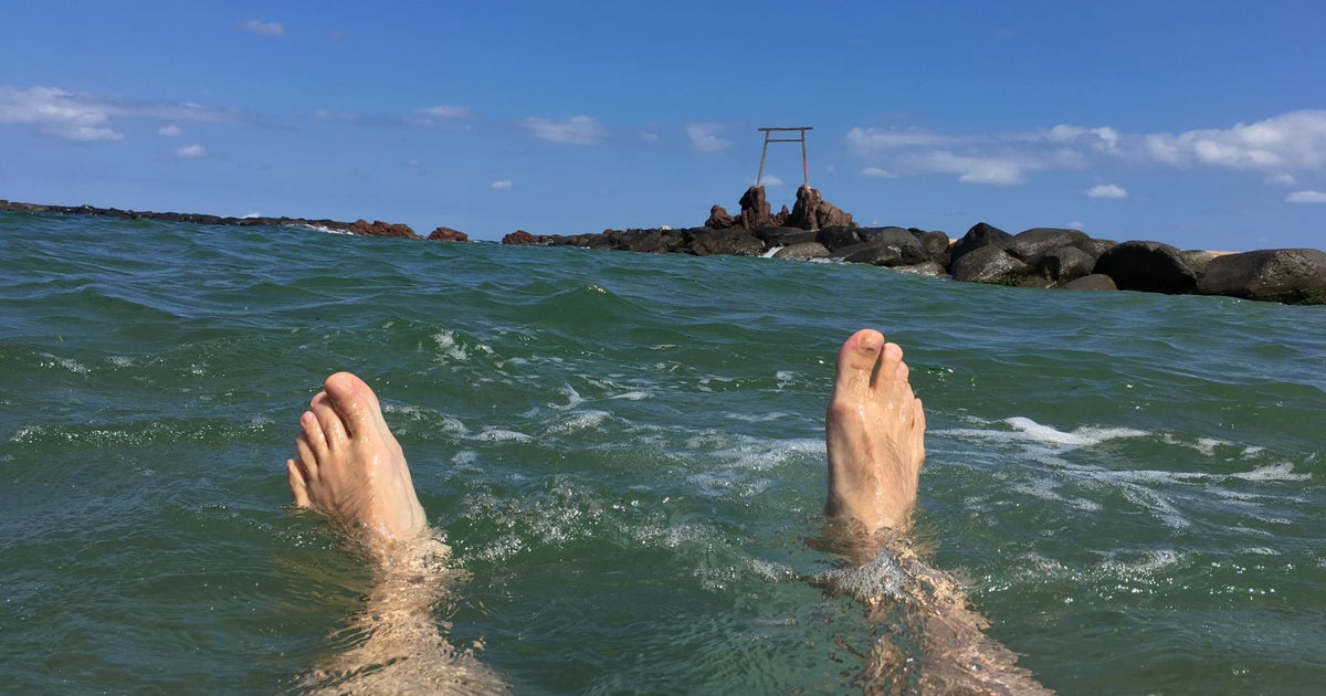 美ら海ハワイ 🌺🌼🌺🌼🌺🌼🌺🌼🌺 ラブハワイコレクション2025 in 横浜