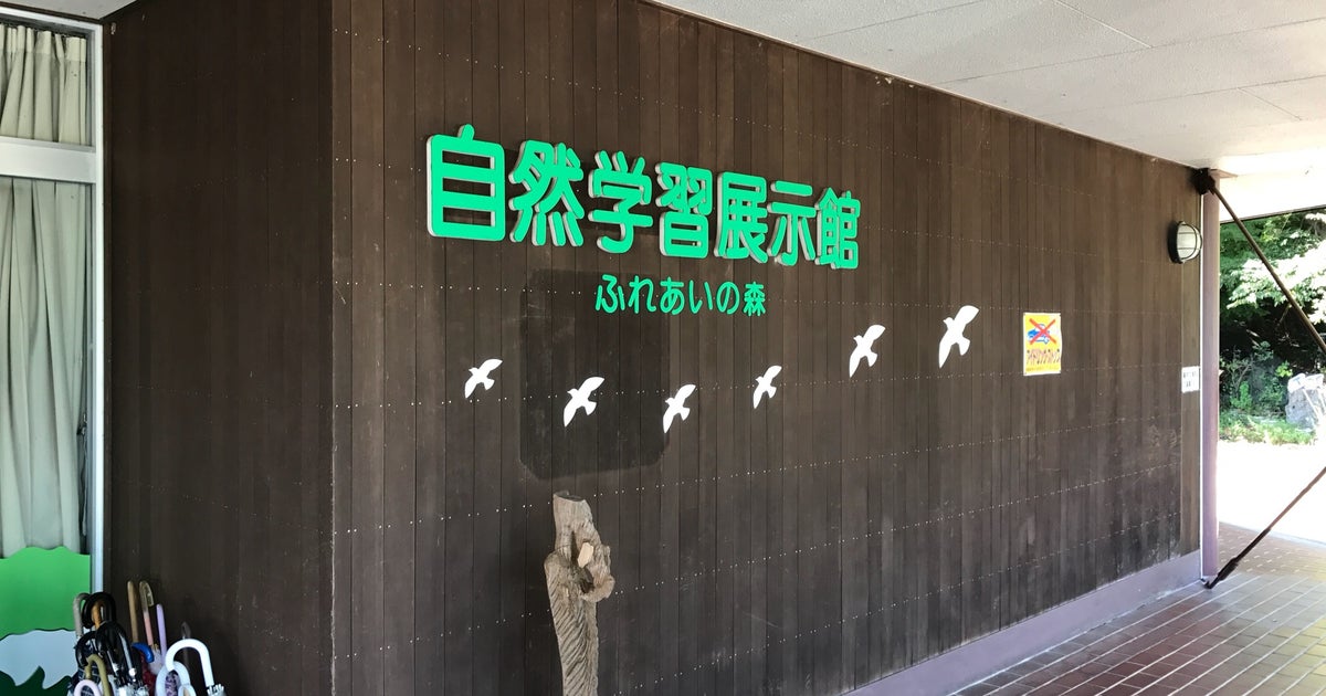 三重県民の森 三重県 こころから