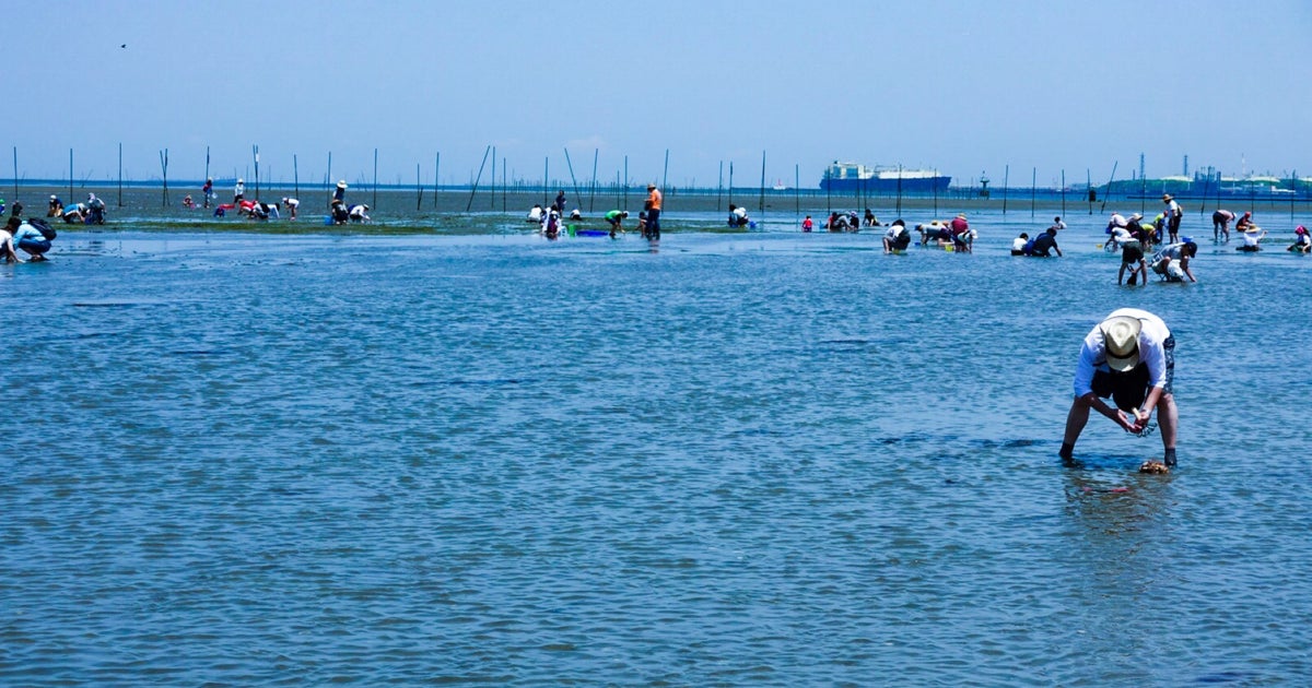 富津海岸潮干狩り場 千葉県 こころから