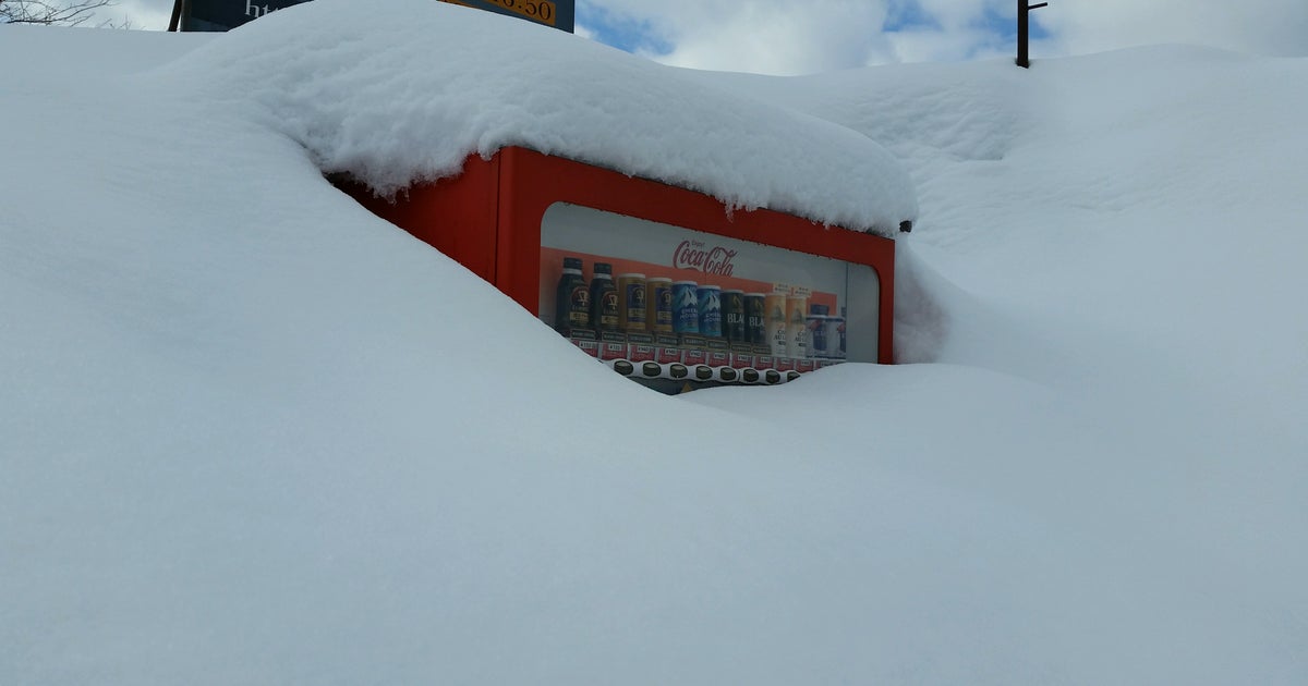 ミカタスノーパーク 鳥取県 こころから ミカタスノーパーク 鳥取県 こころから