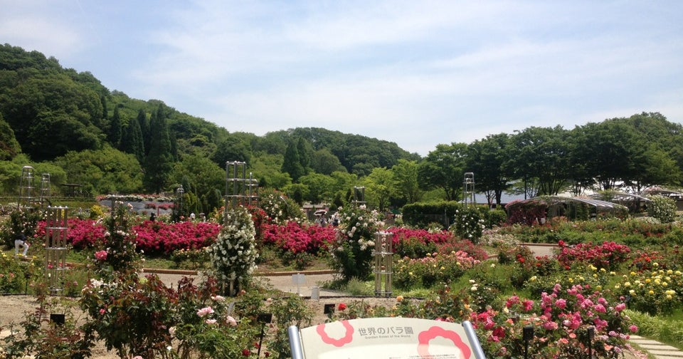 花フェスタ記念公園 岐阜県 こころから