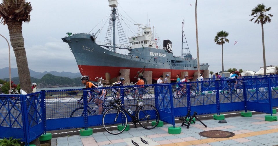 くじらさん専用 6本 くじらさん専用 6本 くじらさん専用 6本 くじら