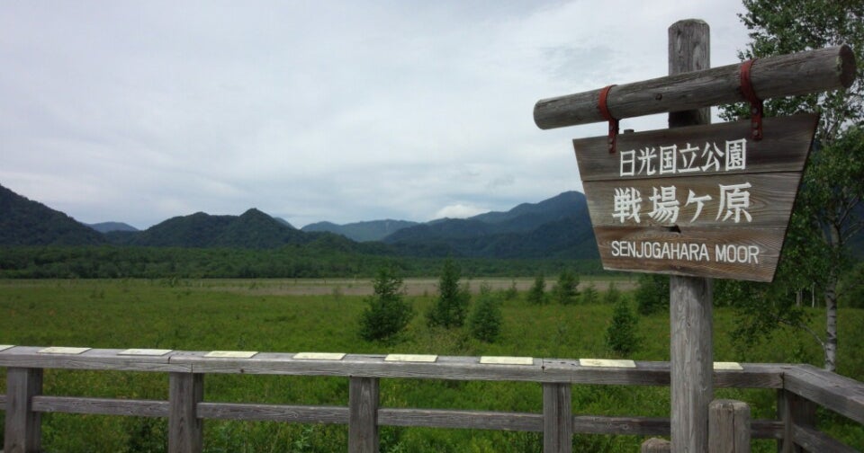 戦場ヶ原 戦場ヶ原 口コミ・写真・地図・情報 - トリップアドバイザー