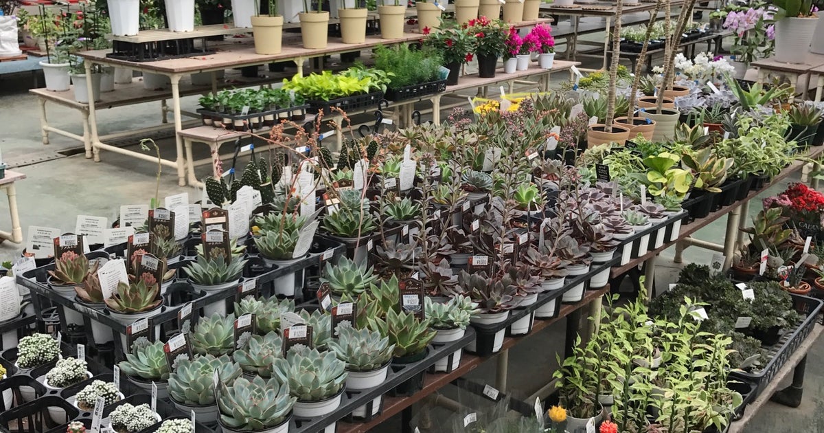 日本ライン花木センター 岐阜県 こころから