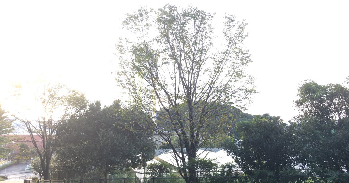 小山内裏公園 東京都 こころから 小山内裏公園 東京都 こころから