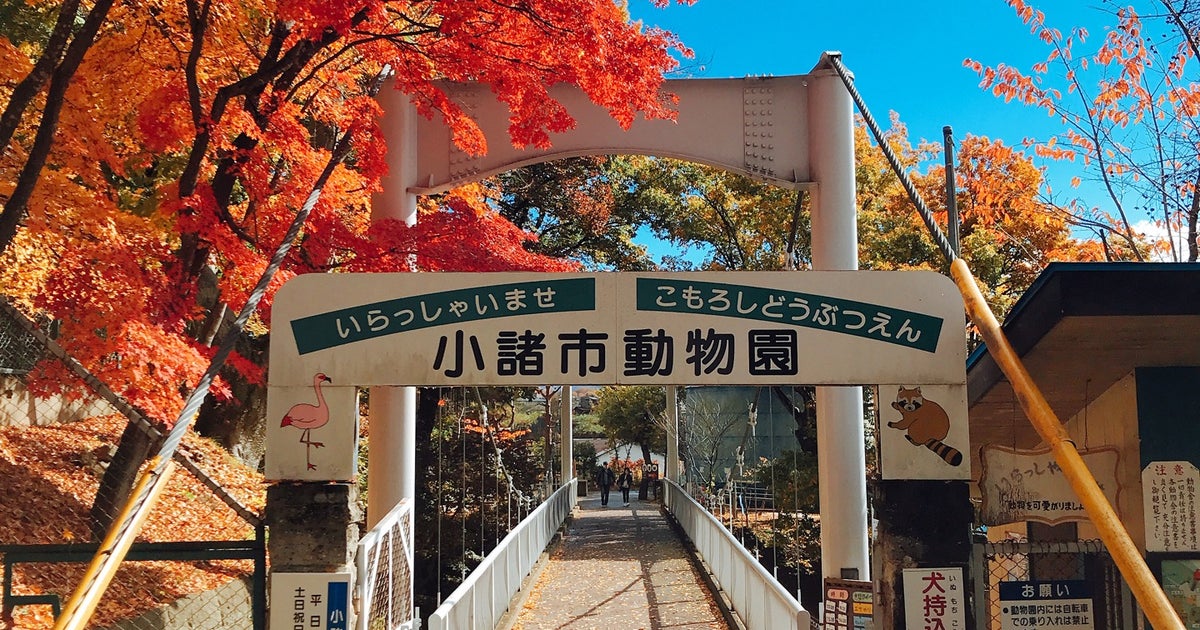 小諸市動物園 長野県 こころから