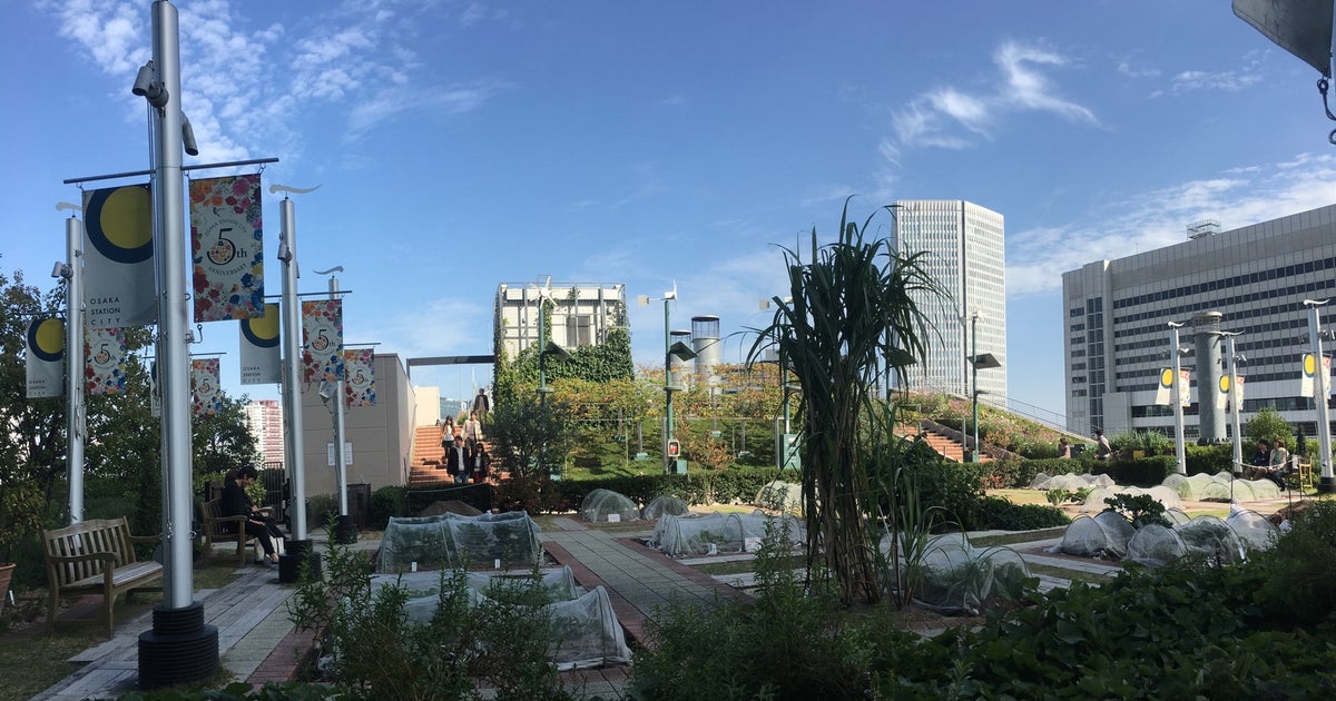 天空の農園 大阪府 こころから