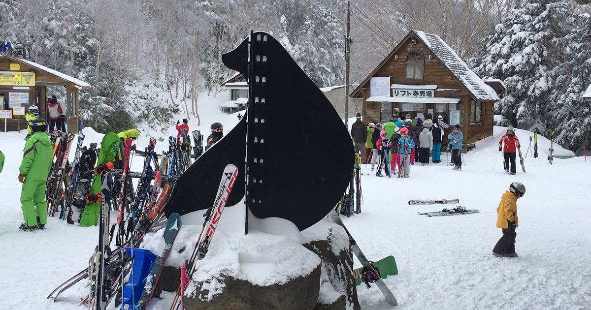 バカラ　クマのスキー 9369842_-