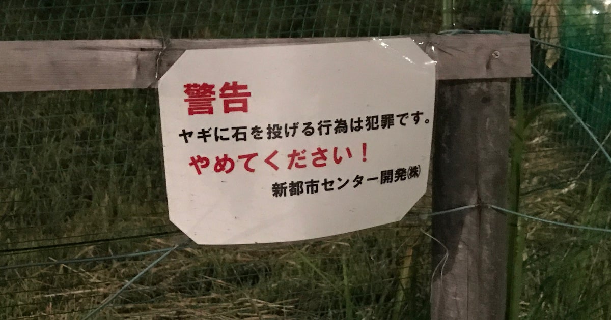 ユニディ 若葉台店 神奈川県 こころから