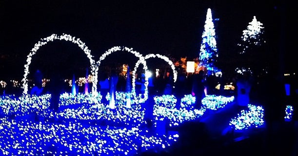 なばなの里 花市場 三重県 こころから
