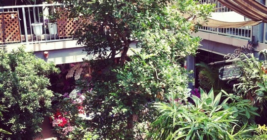 渋谷園芸 東京都 こころから