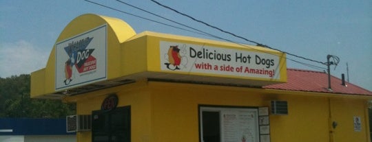 whassup dog is one of places i love.