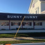 Sunny Hunny