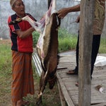 Foto Villa Palm (Sayang-Sayang), Mataram Foto Villa Palm (Sayang-Sayang), Mataram