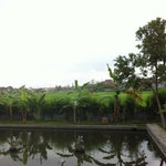 Foto Pan Family Hotel, Umbulharjo Foto Pan Family Hotel, Umbulharjo