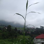 Foto Hotel PCP Trawas, Trawas - Mojokerto Foto Hotel PCP Trawas, Trawas - Mojokerto