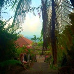 Foto Ubud View Bungalows, Ubud Foto Ubud View Bungalows, Ubud