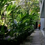 Foto The Pavilion Kuta hotel, Kuta Foto The Pavilion Kuta hotel, Kuta
