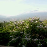 Foto Klub Bunga Batu, Batu Foto Klub Bunga Batu, Batu