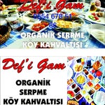 Defigam