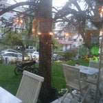 Cafemiz