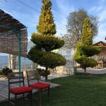 Troy Şahin Tepesi