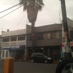 Cafeteria La palmita