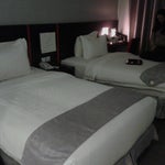 Foto Oak Tree Urban Hotel, Jakarta Foto Oak Tree Urban Hotel, Jakarta