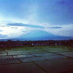 Foto Swiss Belhotel Manokwari, Manokwari Foto Swiss Belhotel Manokwari, Manokwari