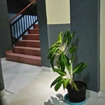 Foto Hotel Astiti, Kupang Foto Hotel Astiti, Kupang