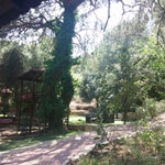 Meşelik Et & Balık Restaurant