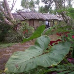 Foto Landih Ashram, Bangli Foto Landih Ashram, Bangli