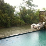 Foto Luta Resort Toraja, Tana Toraja Foto Luta Resort Toraja, Tana Toraja