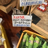 ひまわり市場 大泉店